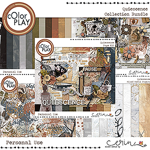 Quiescence {Collection Bundle} by Mixed Media by Erin
