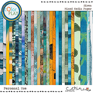 Siren: Mixed Media Papers by Mixed Media by Erin 