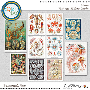 Siren: Vintage Filler Cards by Mixed Media by Erin