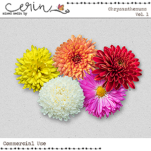 Chrysanthemums Vol 1 (CU) by Mixed Media by Erin