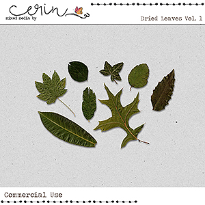 Dried Leaves Vol 1 (CU) by Mixed Media by Erin