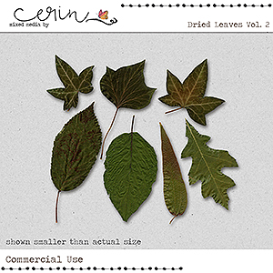 Dried Leaves Vol 2 (CU) by Mixed Media by Erin