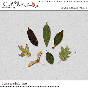 Dried Leaves Vol 3 (CU) by Mixed Media by Erin