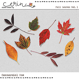 Fall Leaves Vol 1 (CU) by Mixed Media by Erin