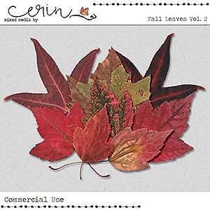 Fall Leaves Vol. 2(CU) by Mixed Media by Erin