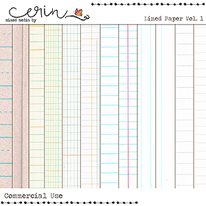 Lined Paper Vol 1 (CU) by Mixed Media by Erin