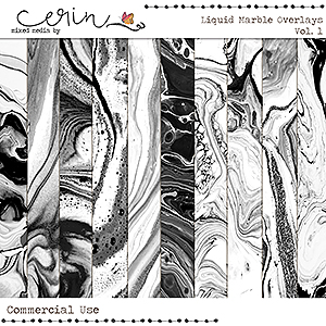 Liquid Marble Overlays Vol 1 (CU) by Mixed Media by Erin