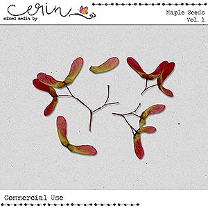 Maple Seeds Vol 1 (CU)  by Mixed Media by Erin