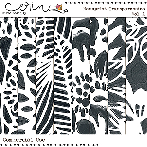 Monoprint Transparencies Vol 1 (CU) by Mixed Media by Erin
