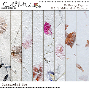 Mulberry Paper Vol 1 (CU) by Mixed Media by Erin