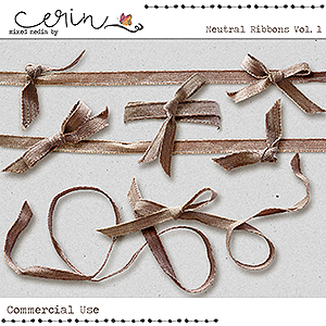 Neutral Ribbons Vol 1 (CU) Name by Mixed Media by Erin