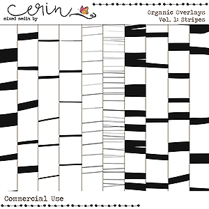 Organic Overlays Vol 1: Stripes (CU) by Mixed Media by Erin