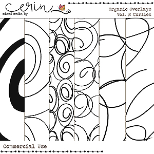 Organic Overlays Vol 3: Curlies (CU) by Mixed Media by Erin