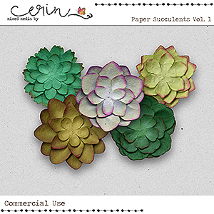 Paper Succulents Vol 1 (CU)  by Mixed Media by Erin