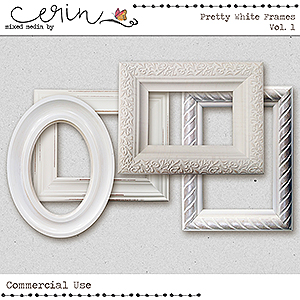 Pretty White Frames Vol 1 (CU) by Mixed Media by Erin