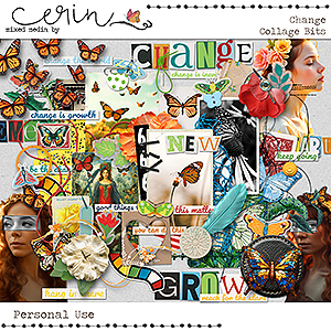 Change {Collage Bits} by Mixed Media by Erin