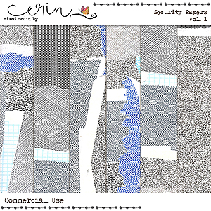 Security Paper Vol 1 (CU) by Mixed Media by Erin