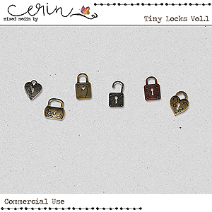 Tiny Locks Vol 1 (CU) by Mixed Media by Erin