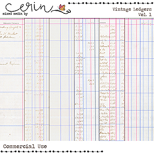 Vintage Ledger Vol 1 (CU) by Mixed Media by Erin 