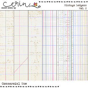 Vintage Ledger Vol 2 (CU)  by Mixed Media by Erin