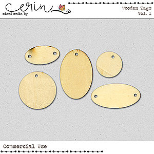 Wooden Tags Vol 1 (CU) by Mixed Media by Erin