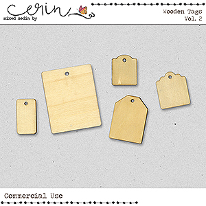 Wooden Tags Vol 2 (CU) by Mixed Media by Erin 