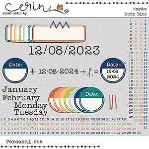 WORDS {Date Bits} by Mixed Media by Erin