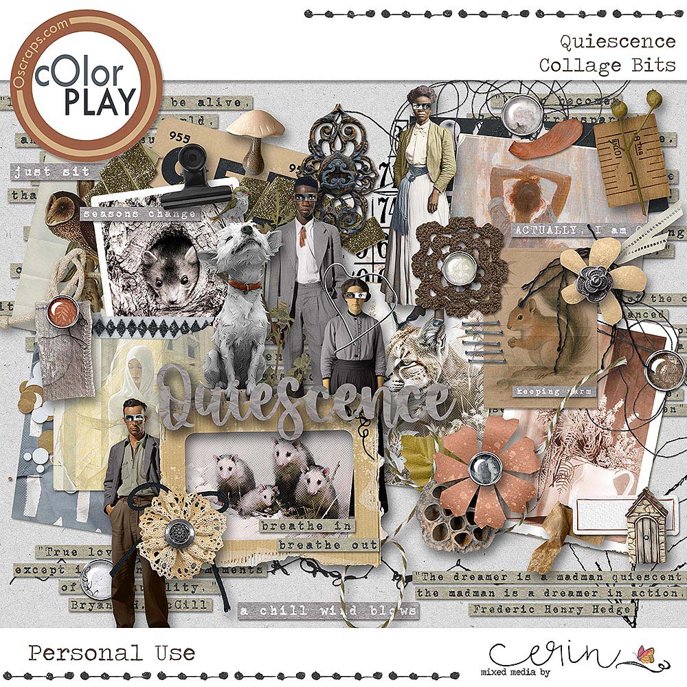 Quiescence {Collage Bits} by Mixed Media by Erin