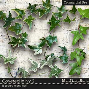 Covered In Ivy 2 - CU