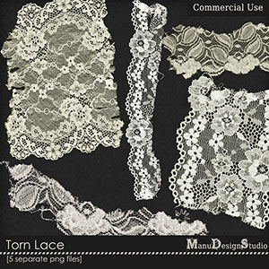 Torn Lace 1 - CU 