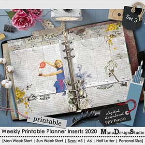 Set 3 - 2020 Weekly Printable Planner Inserts