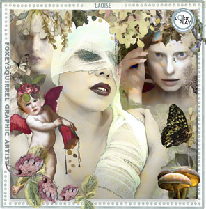 Laoise Digital Art Kit