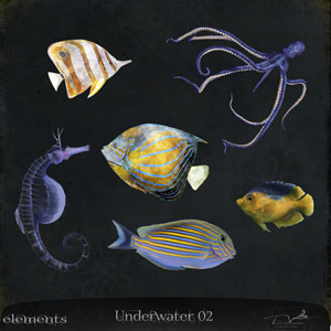 Underwater 02