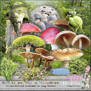 Woodlands Moss n Mushrooms by itKuPiLLi imagenarium
