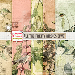 All the Pretty Birdies (two)