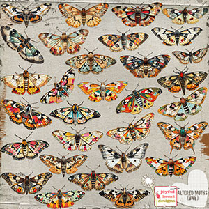 Altered Moths (one)