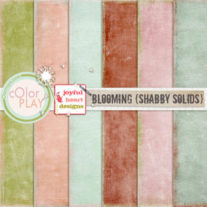 Blooming (shabby solids)