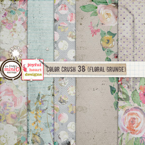 Color Crush 38 (floral grunge)