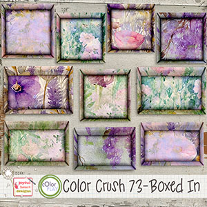 Color Crush 73 (Boxed In)