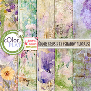 Color Crush 73 (shabby florals)