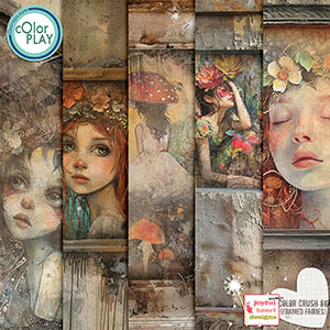 Color Crush 86 (framed fairies)