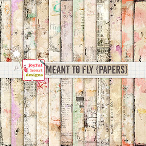 Meant to Fly (papers)