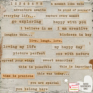 Paper Sentiments (one)