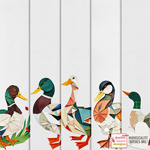 Whimsicality (birdies 1)