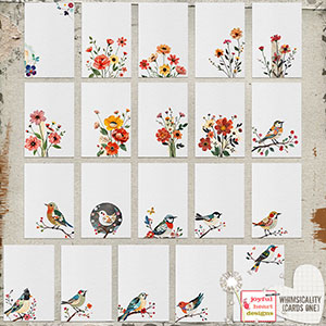 Whimsicality (cards one)