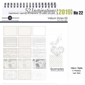 52 Inspirations 2019 No 22 Vellum Styles 02 by Karen Schulz Designs