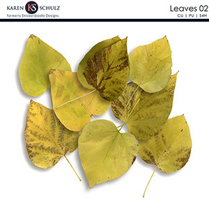 Leaves 02