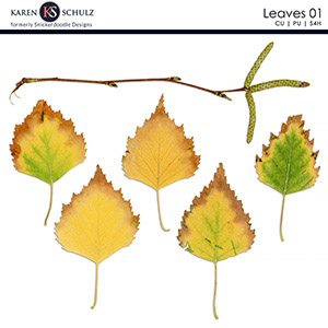 Leaves 01