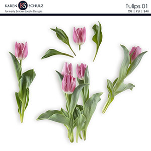 Tulips 01