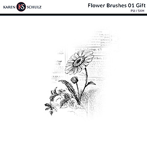 Flower Brushes 01 Gift
